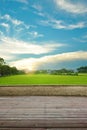 Synthesis of textured wooden planks floor and green field background