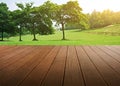 Synthesis of textured wooden planks floor and green field background.