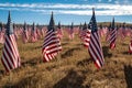 Green Field of veterans day american flags waving in the breeze. Generative ai Royalty Free Stock Photo