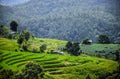 Green field view at Pa Pong Piang Rice Terraces, Mae Chaem, Chiang Mai