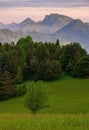 Green field and view of Trzy Korony, Pieniny Mountains Peak in Poland at Spring. Royalty Free Stock Photo