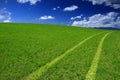 Green Field Way Royalty Free Stock Photo