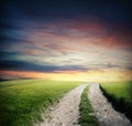 Green field way Royalty Free Stock Photo