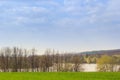 green field of wheat against leafless trees frozen lake