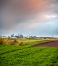 Green field of wheat sprouts and hills of fields, elevator with farm buildings on horizon, sky in spring Royalty Free Stock Photo