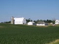 Green field with white barns and wooded area behind