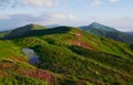 Green field and white clouds. Majestic Carpathian mountains. Beautiful landscape. Breathtaking view