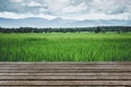 Green field with wooden table top foreground blank space Royalty Free Stock Photo