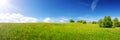 Field with dandelions and blue sky Royalty Free Stock Photo