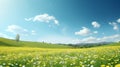 Green field with yellow dandelions and blue sky. Royalty Free Stock Photo