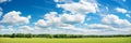 Green field with yellow dandelions and blue sky. Panoramic view to grass and flowers on the hill on sunny spring day Royalty Free Stock Photo