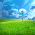 Green fields Royalty Free Stock Photo