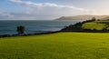 Green fields above the sea along the Antrim Coast, Northern Ireland Royalty Free Stock Photo