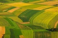 Green fields aerial view before harvest