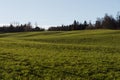 Green fields in autumn