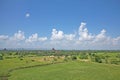 Green fields of Bagan Royalty Free Stock Photo