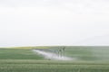 Barley fields being irrigated