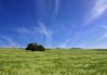 Green fields and blue cloudy sky landscape