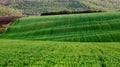 Green fields and bosky hills Royalty Free Stock Photo