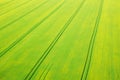 Green fields Royalty Free Stock Photo