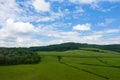 The green fields of the Countryside in Europe, France, Burgundy, Nievre, Morvan, in summer, on a sunny day