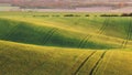 Green fields in the evening in South Moravia