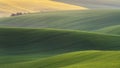 Green fields in the evening in South Moravia