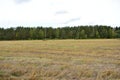 Green fields. Forest areas. Blue sky in the clouds. Rural landscape. Natural Royalty Free Stock Photo