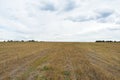 Green fields. Forest areas. Blue sky in the clouds. Rural landscape. Natural Royalty Free Stock Photo