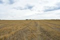 Green fields. Forest areas. Blue sky in the clouds. Rural landscape. Natural Royalty Free Stock Photo