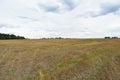 Green fields. Forest areas. Blue sky in the clouds. Rural landscape. Natural Royalty Free Stock Photo