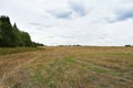 Green fields. Forest areas. Blue sky in the clouds. Rural landscape. Natural Royalty Free Stock Photo