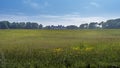 Green fields and forest around Ardgillan castle