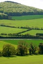 Green Fields of Ireland Royalty Free Stock Photo