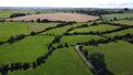Green fields of Ireland lined with trees, top view. Green Irish landscape