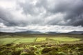 Green fields of Ireland under a cloudy sky