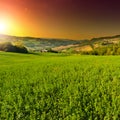 Green Fields Royalty Free Stock Photo