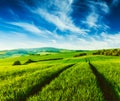 Green fields of Moravia Royalty Free Stock Photo