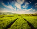 Green fields of Moravia Royalty Free Stock Photo