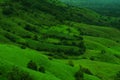 Green fields on a mountain slope Royalty Free Stock Photo