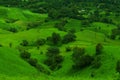 Green fields on a mountain slope-2 Royalty Free Stock Photo