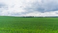 Green fields near Benzin in Mecklenburg with forest in background Royalty Free Stock Photo