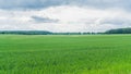 Green fields near Benzin in Mecklenburg with forest and wind mills in background Royalty Free Stock Photo