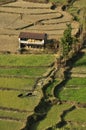 ice terraces in the valley Kali Gandaki. Green fields in the spring.