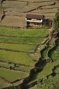 ice terraces in the valley Kali Gandaki. Green fields in the spring.