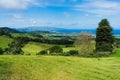 Green fields pasture with grazing cow herd and coastal cliffs, blue ocean and sky horizon Royalty Free Stock Photo