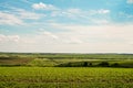 Green fields with ravines to the horizon under a blue cloudy sky Royalty Free Stock Photo