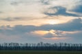 Green fields, a row of trees against a backdrop of beautiful clouds at dawn in the spring. Copy space Royalty Free Stock Photo