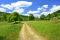 Green fields, rural road and mountains summer landscape Royalty Free Stock Photo