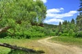 Green fields, rural road and mountains summer landscape Royalty Free Stock Photo